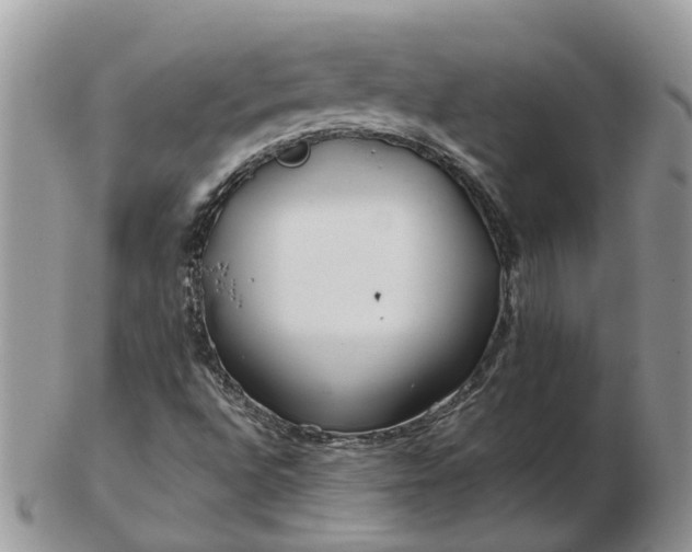 X0000102791496200809021103