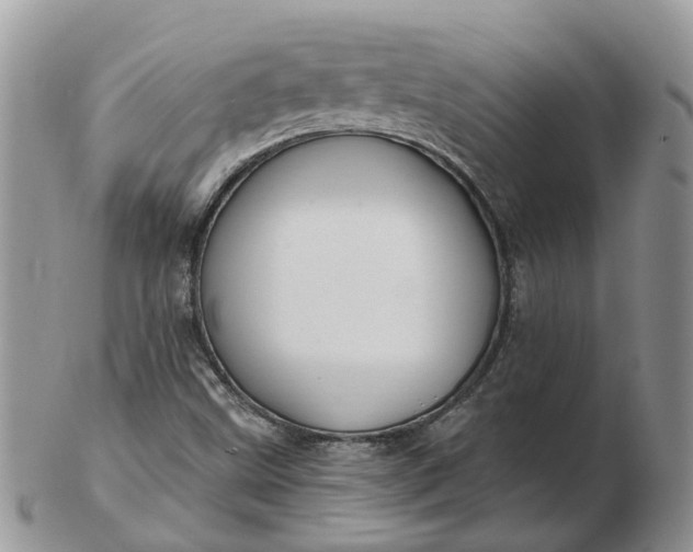 X0000102791499200809021103