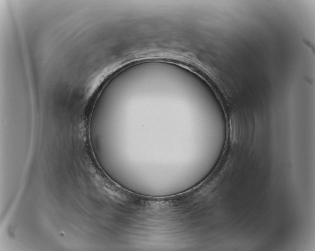 X0000102791501200809021103