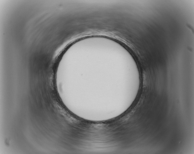 X0000102791502200809021103