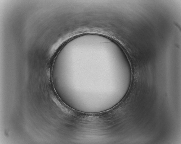 X0000102791503200809021103