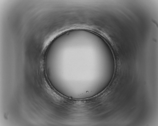 X0000102791504200809021103