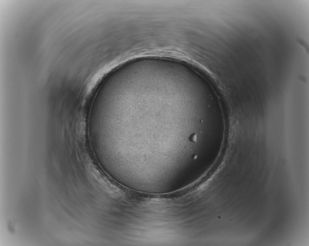 X0000102791506200809021103