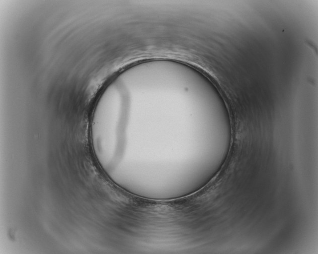 X0000102791507200809021103