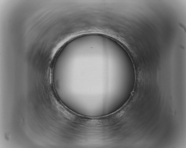 X0000102791510200809021103