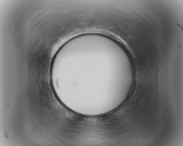 X0000102791512200809021103