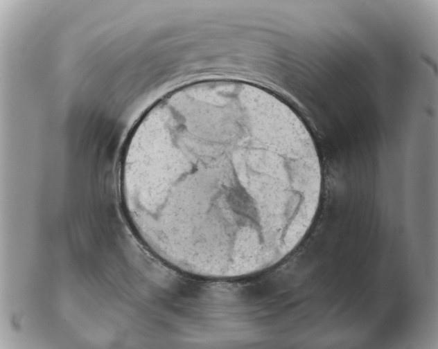 X0000102791514200809021103