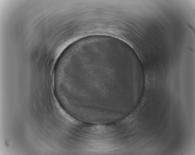 X0000102791515200809021103