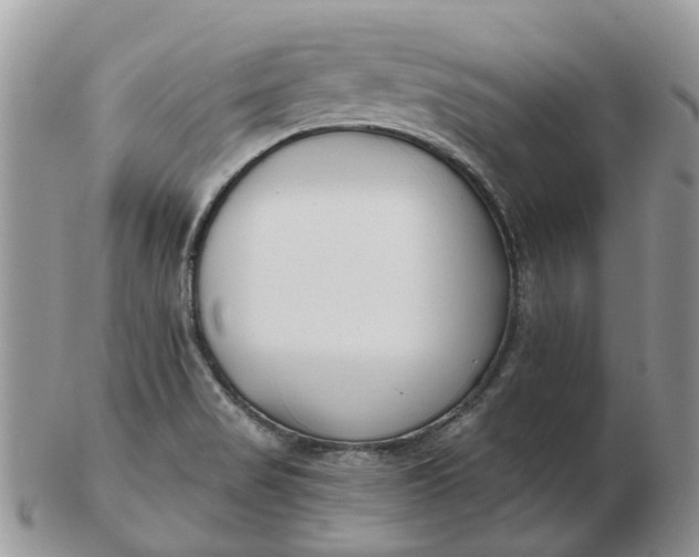 X0000102791517200809021103