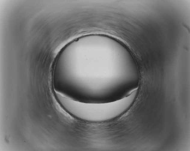 X0000102791518200809021103