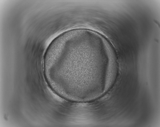 X0000102791519200809021103