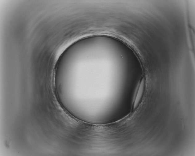 X0000102791520200809021103