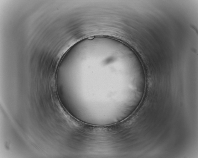 X0000102791521200809021103