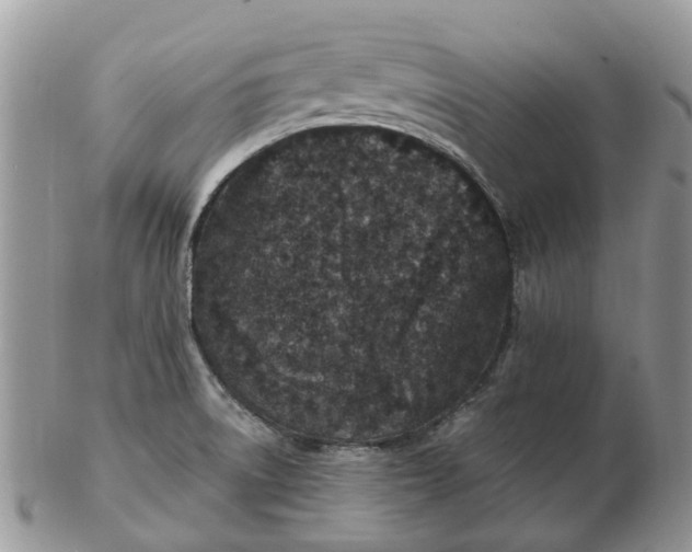 X0000102791522200809021103