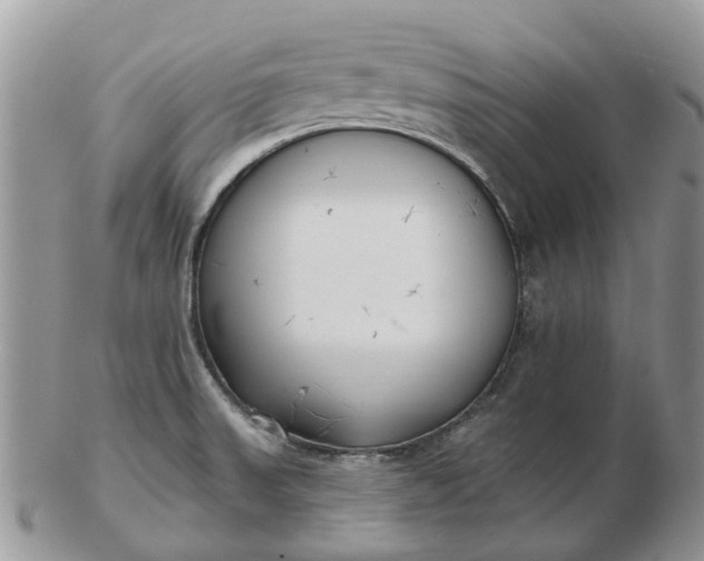 X0000102791523200809021103