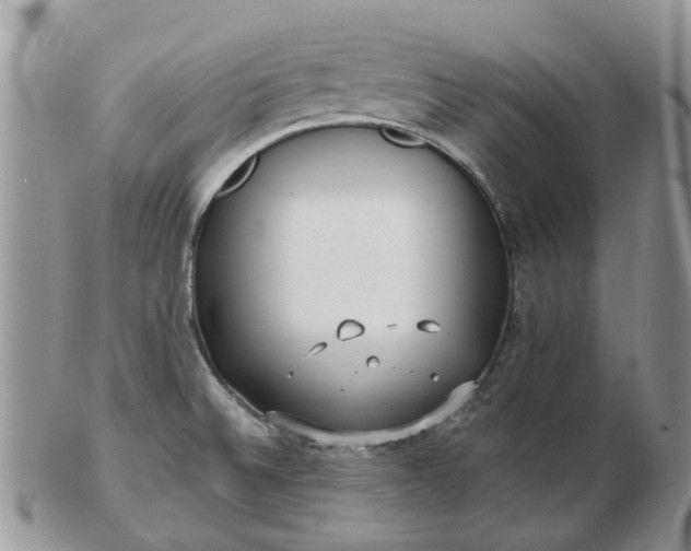 X0000102791524200809021103