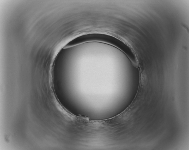 X0000102791528200809021103