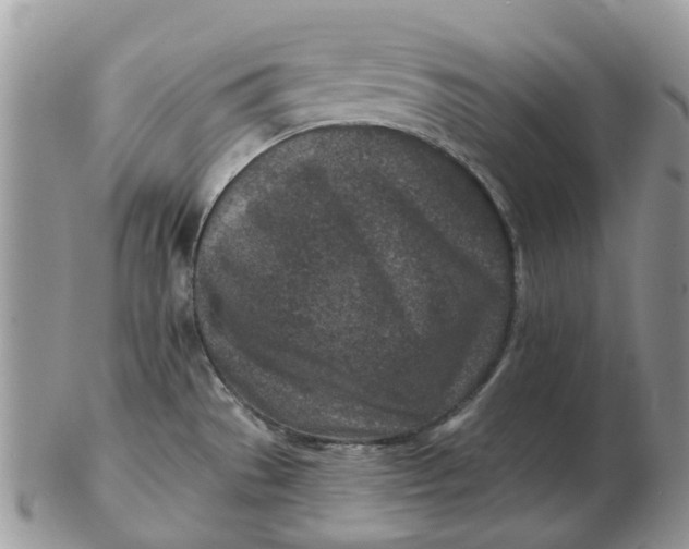 X0000102791529200809021103