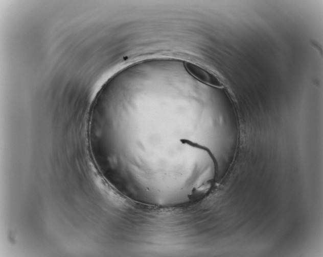 X0000102791530200809021103