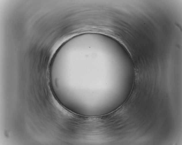 X0000102791531200809021103