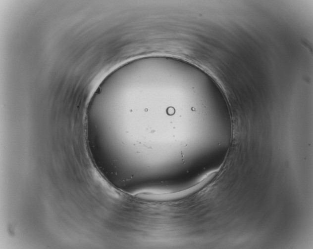 X0000102791532200809021103