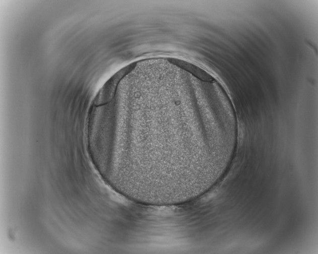 X0000102791533200809021103