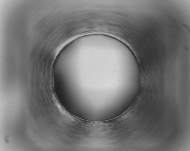 X0000102791534200809021103