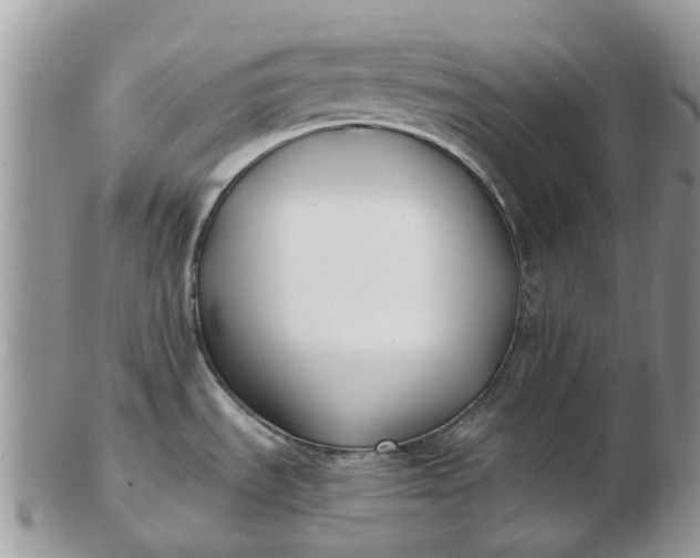 X0000102791535200809021103