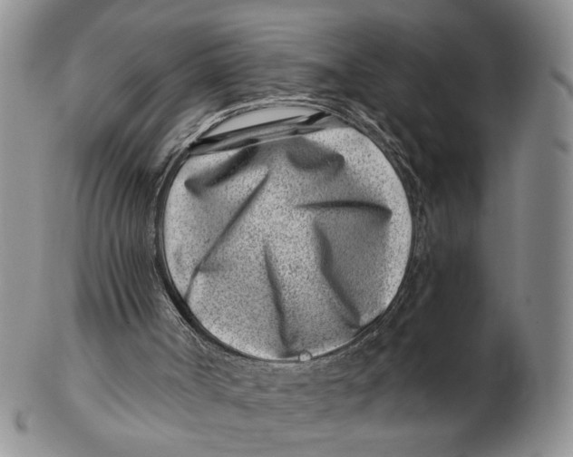 X0000102790002200809081100