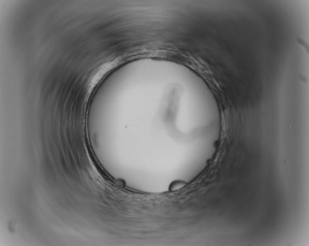 X0000102790003200809081100