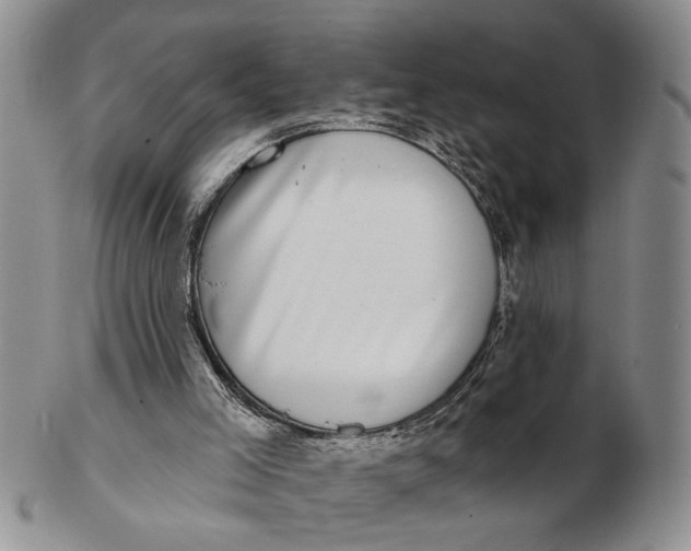 X0000102790005200809081100