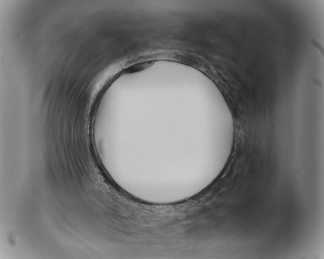 X0000102790006200809081100