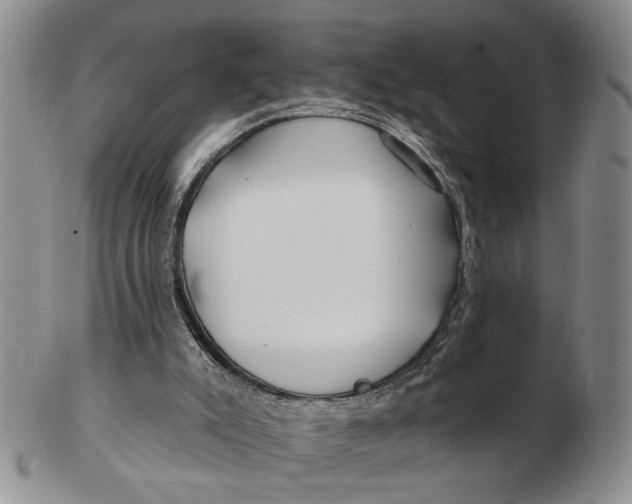 X0000102790007200809081100