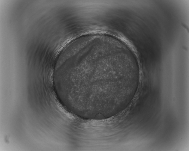 X0000102790009200809081100