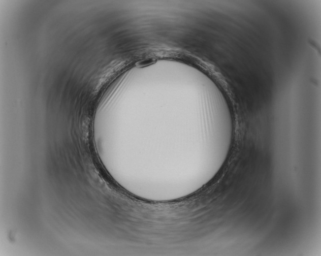 X0000102790010200809081100