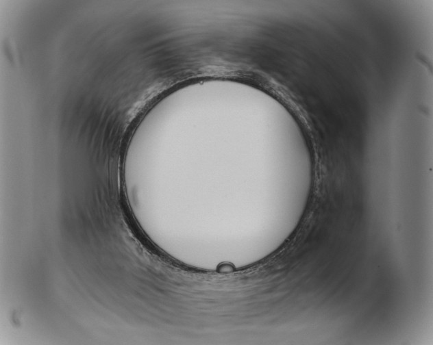 X0000102790011200809081100