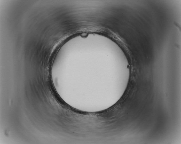 X0000102790012200809081100