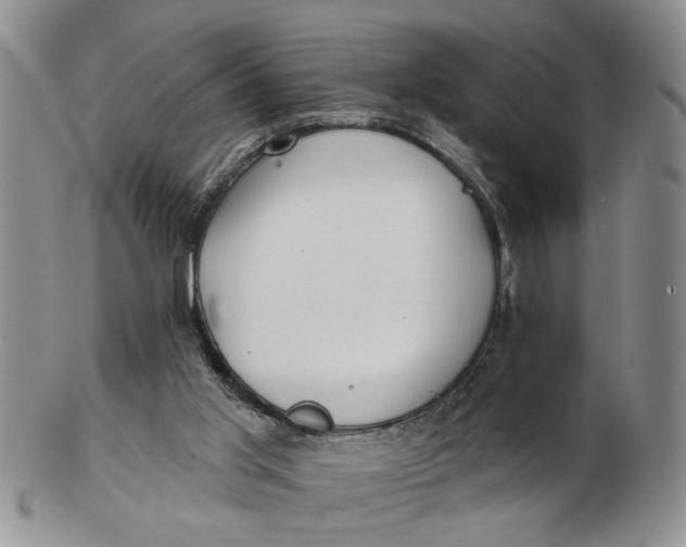 X0000102790013200809081100