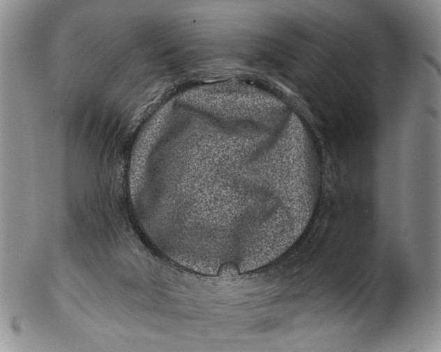 X0000102790018200809081100