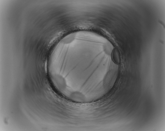 X0000102790019200809081100