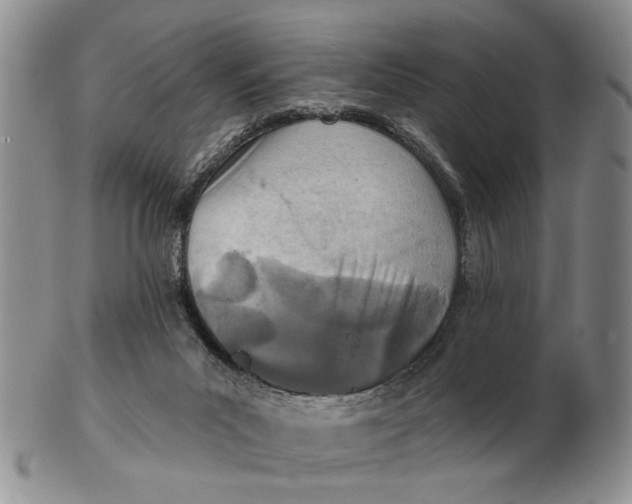 X0000102790023200809081100