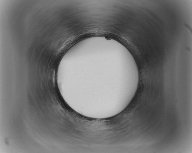 X0000102790024200809081100