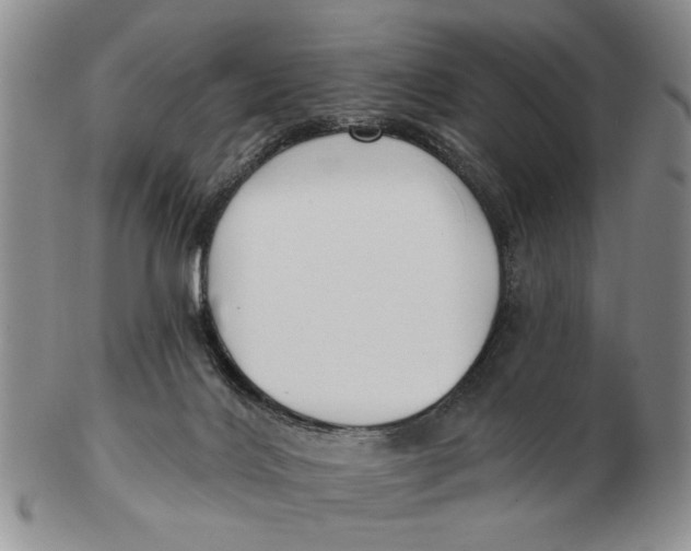 X0000102790028200809081100