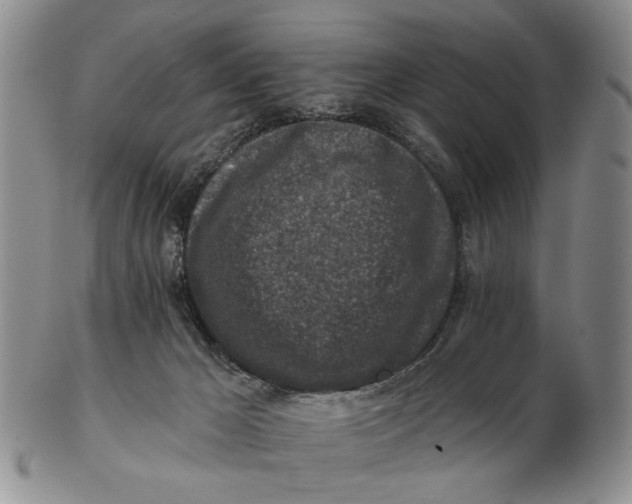 X0000102790029200809081100