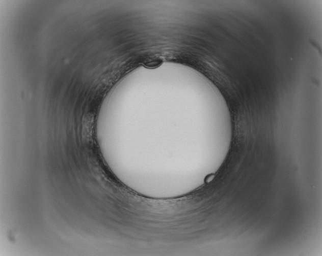 X0000102790030200809081100