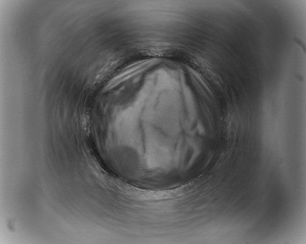 X0000102790031200809081100