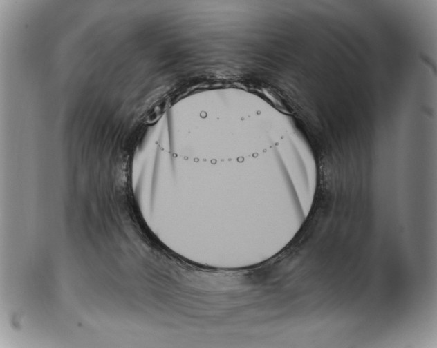 X0000102790032200809081100