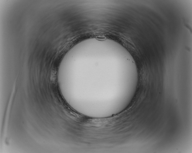 X0000102790033200809081100