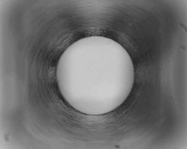 X0000102790034200809081100