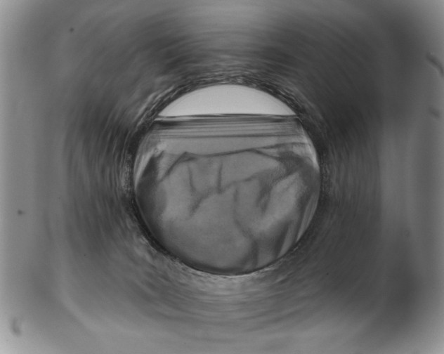 X0000102790035200809081100